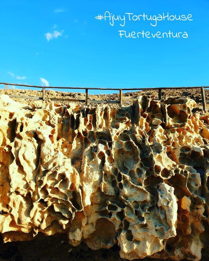 Apartamento Tortuga House *